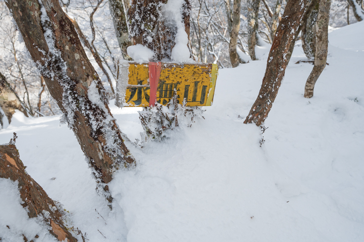 f:id:hiiro1017:20200215223246j:plain