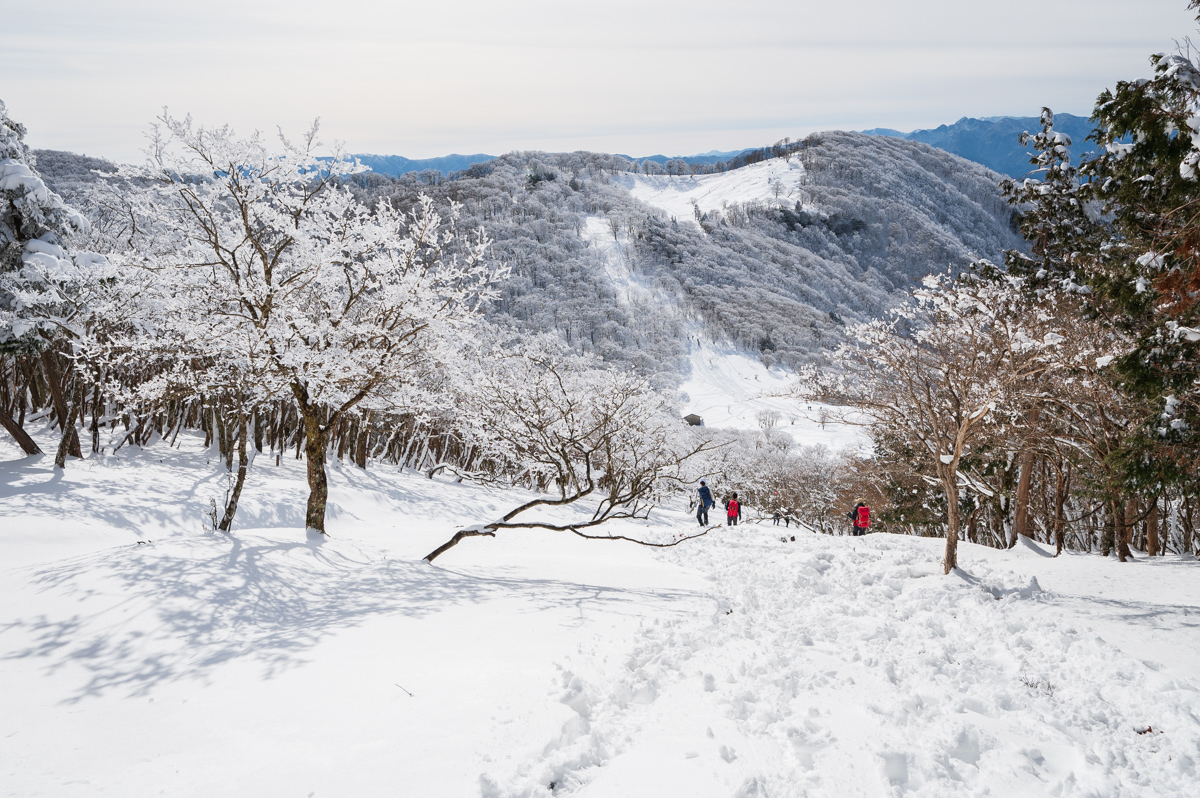 f:id:hiiro1017:20200215223450j:plain