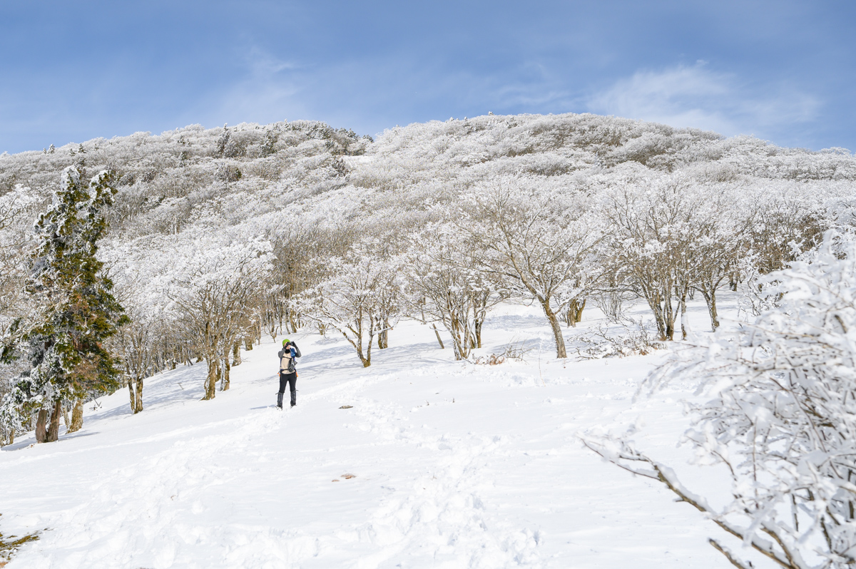 f:id:hiiro1017:20200215224356j:plain