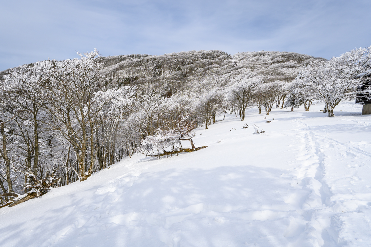 f:id:hiiro1017:20200215225532j:plain