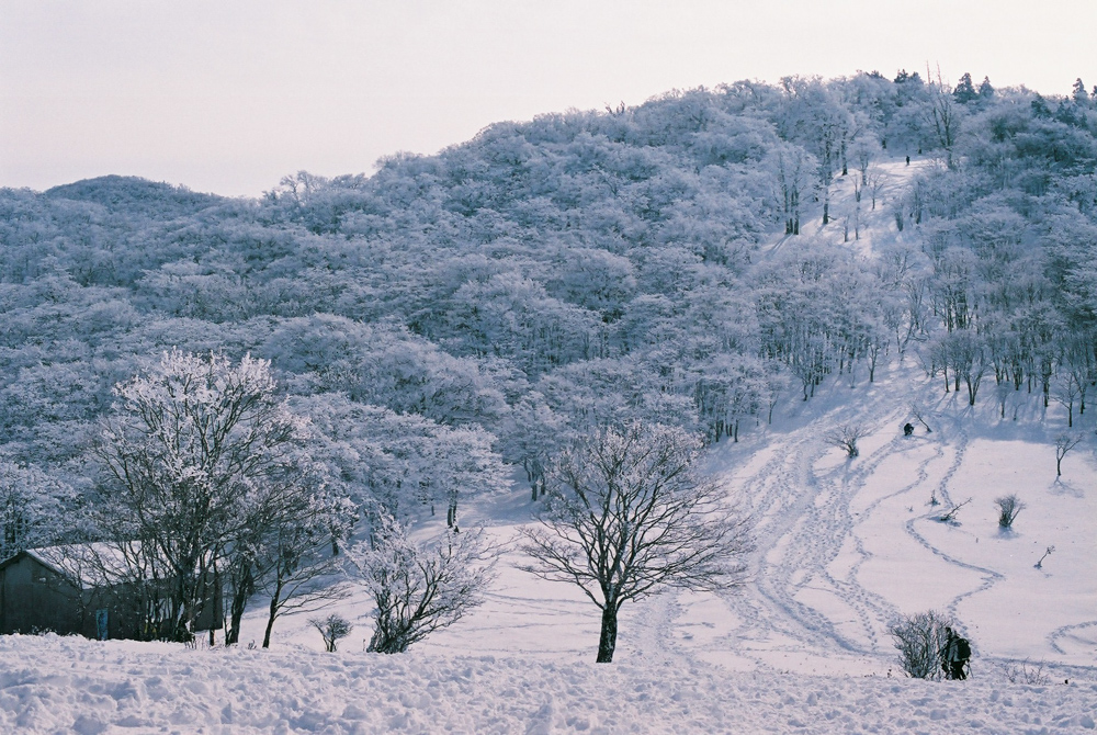 f:id:hiiro1017:20200409220030j:plain