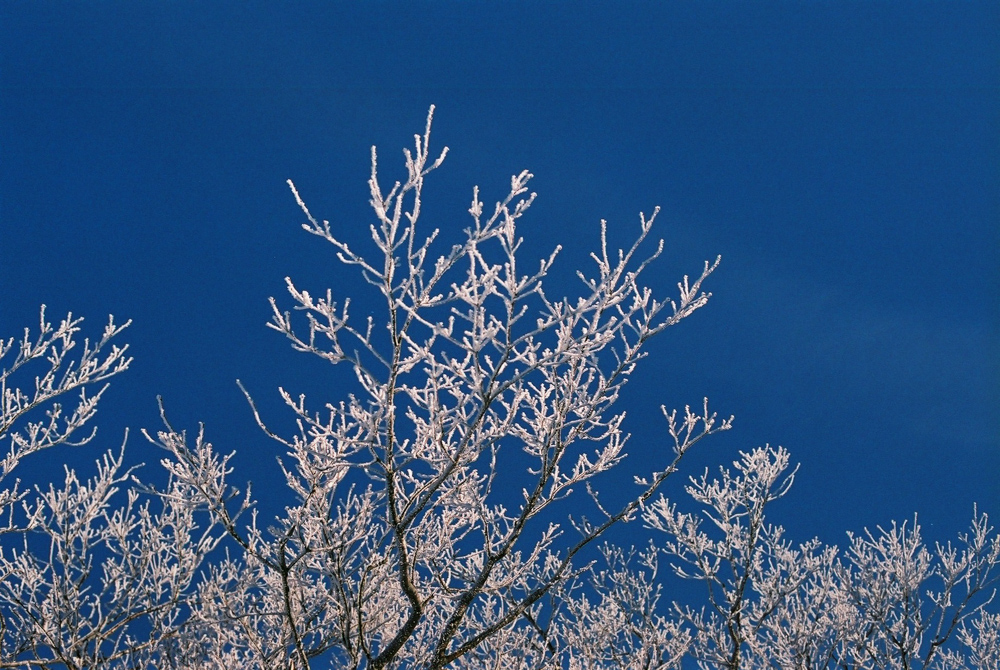 f:id:hiiro1017:20200409220033j:plain