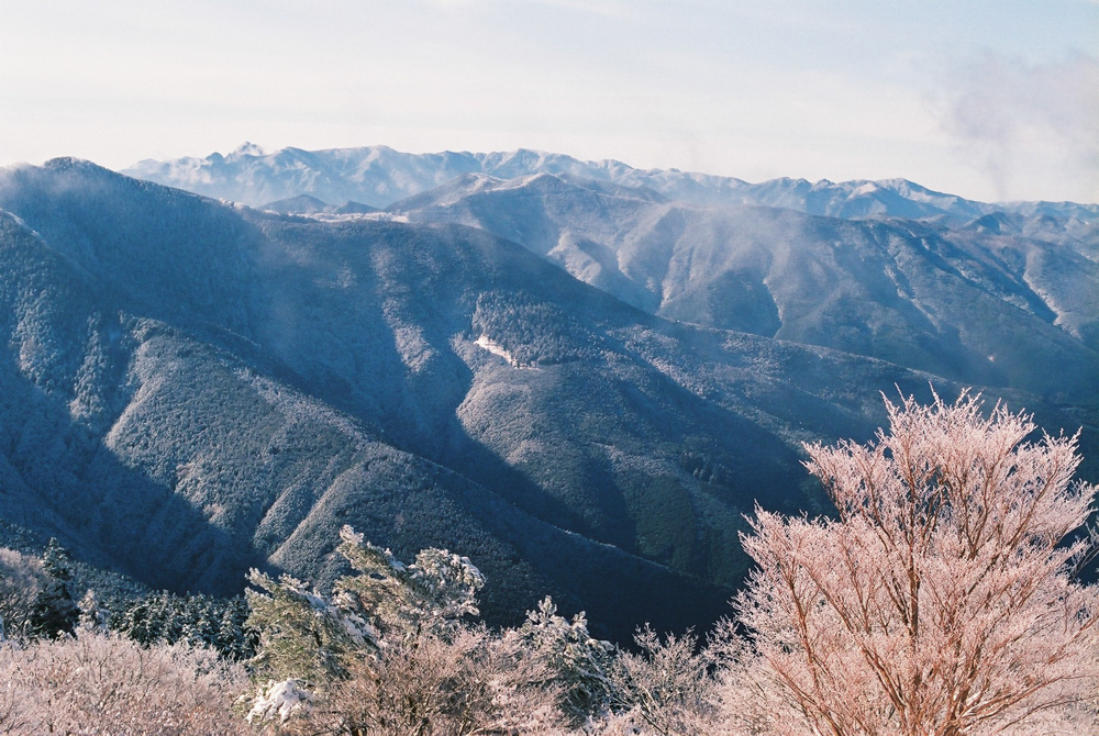 f:id:hiiro1017:20200409220037j:plain