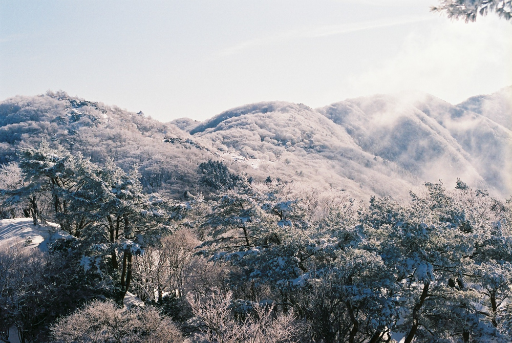 f:id:hiiro1017:20200409220041j:plain