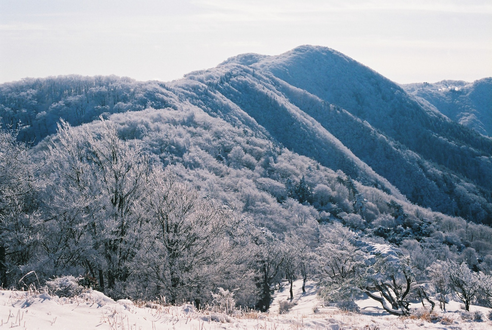 f:id:hiiro1017:20200409220048j:plain