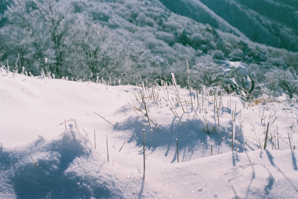 f:id:hiiro1017:20200409220056j:plain