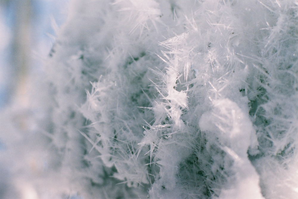 f:id:hiiro1017:20200409220104j:plain