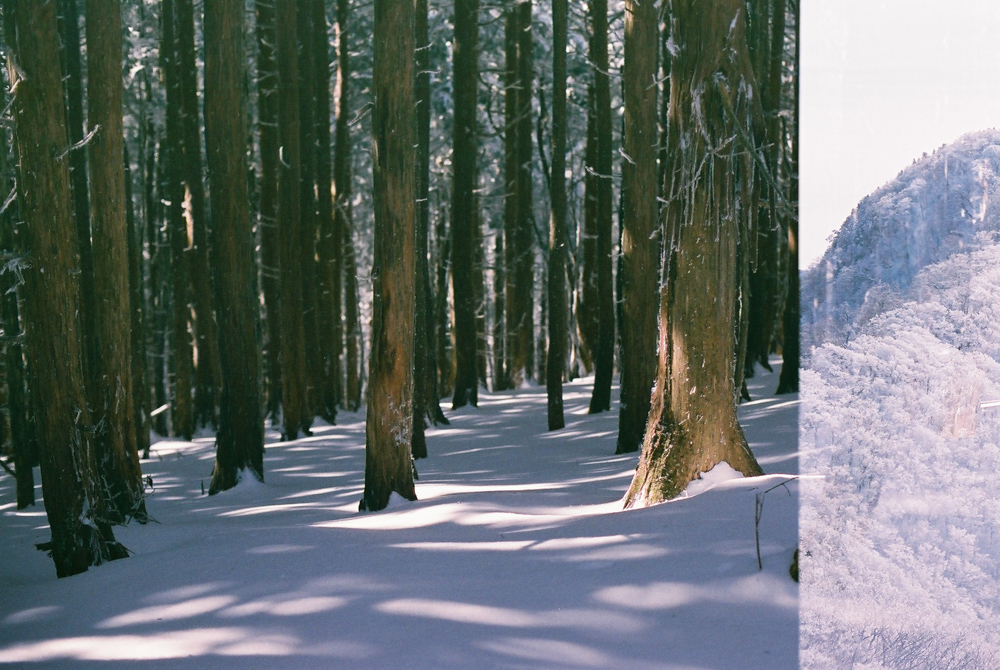 f:id:hiiro1017:20200409220107j:plain