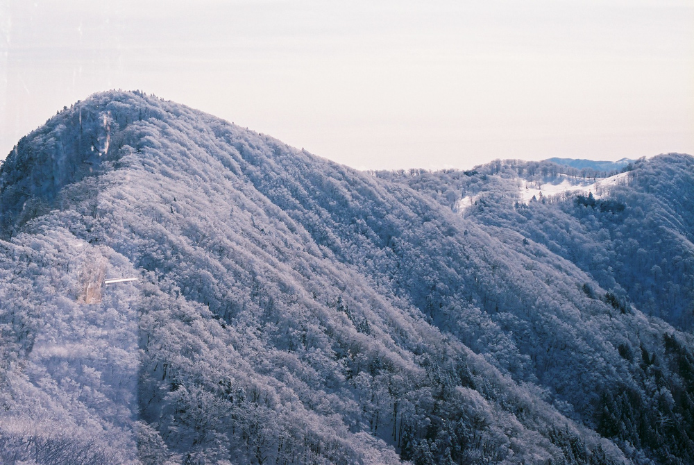 f:id:hiiro1017:20200409220111j:plain