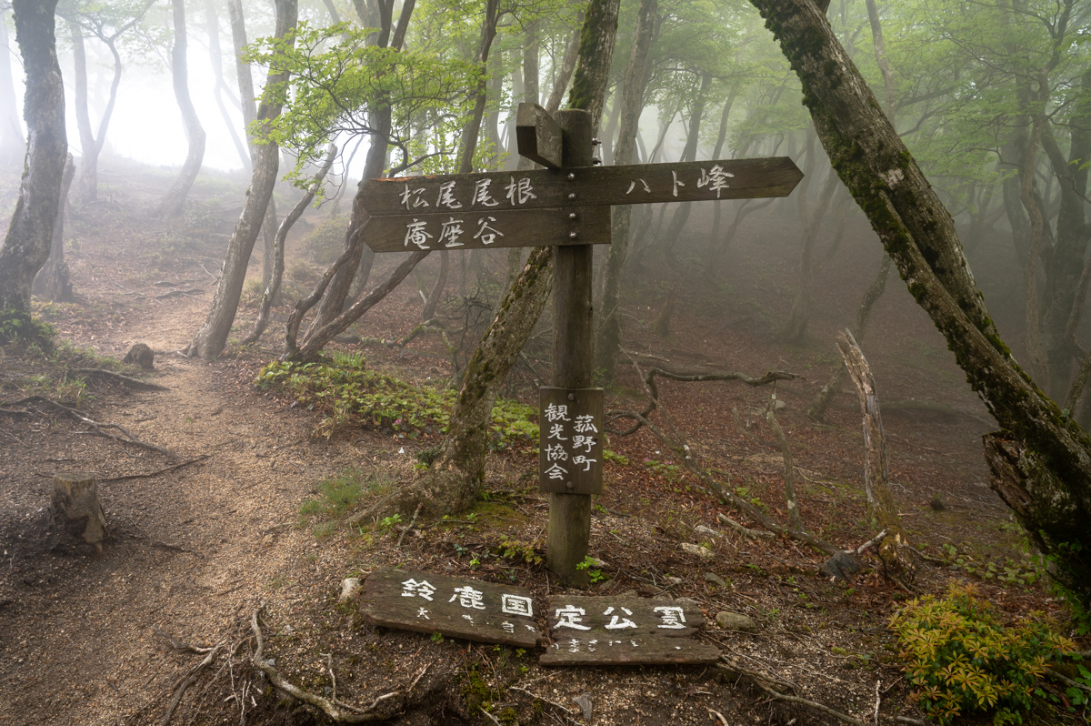 f:id:hiiro1017:20200711230237j:plain