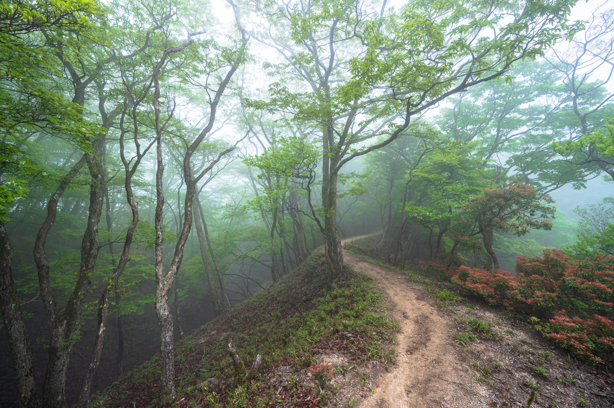 f:id:hiiro1017:20200711230357j:plain