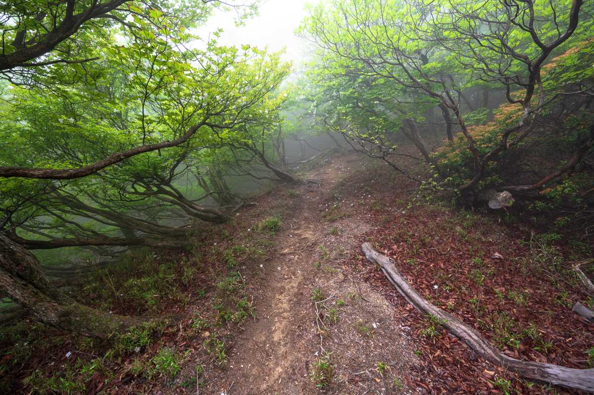 f:id:hiiro1017:20200711230400j:plain