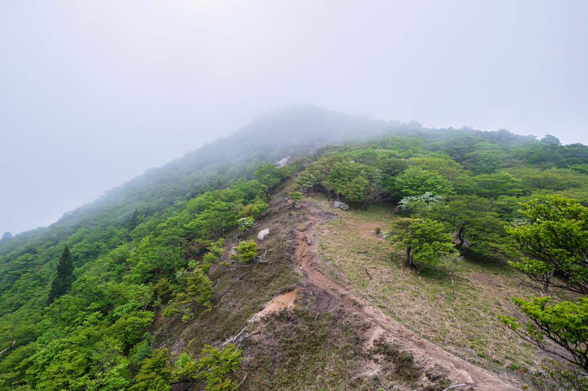 f:id:hiiro1017:20200711230407j:plain