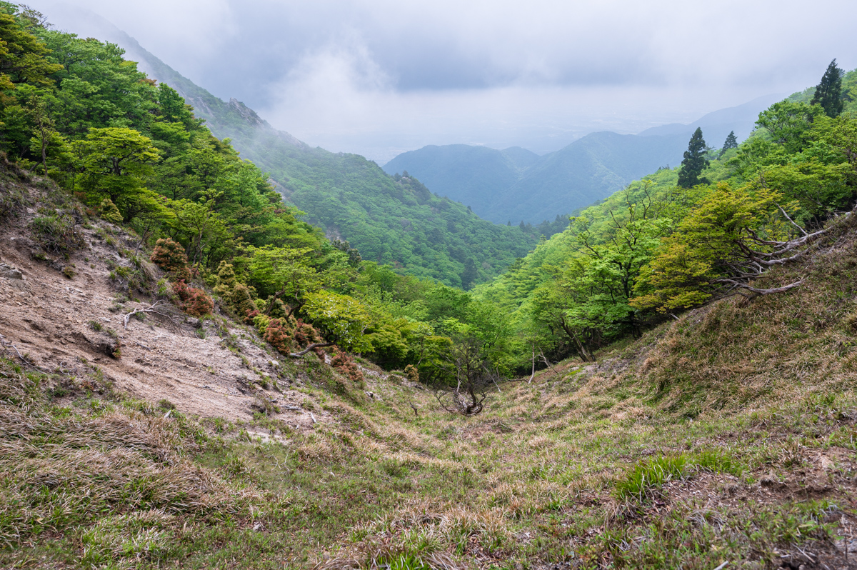 f:id:hiiro1017:20200711230411j:plain