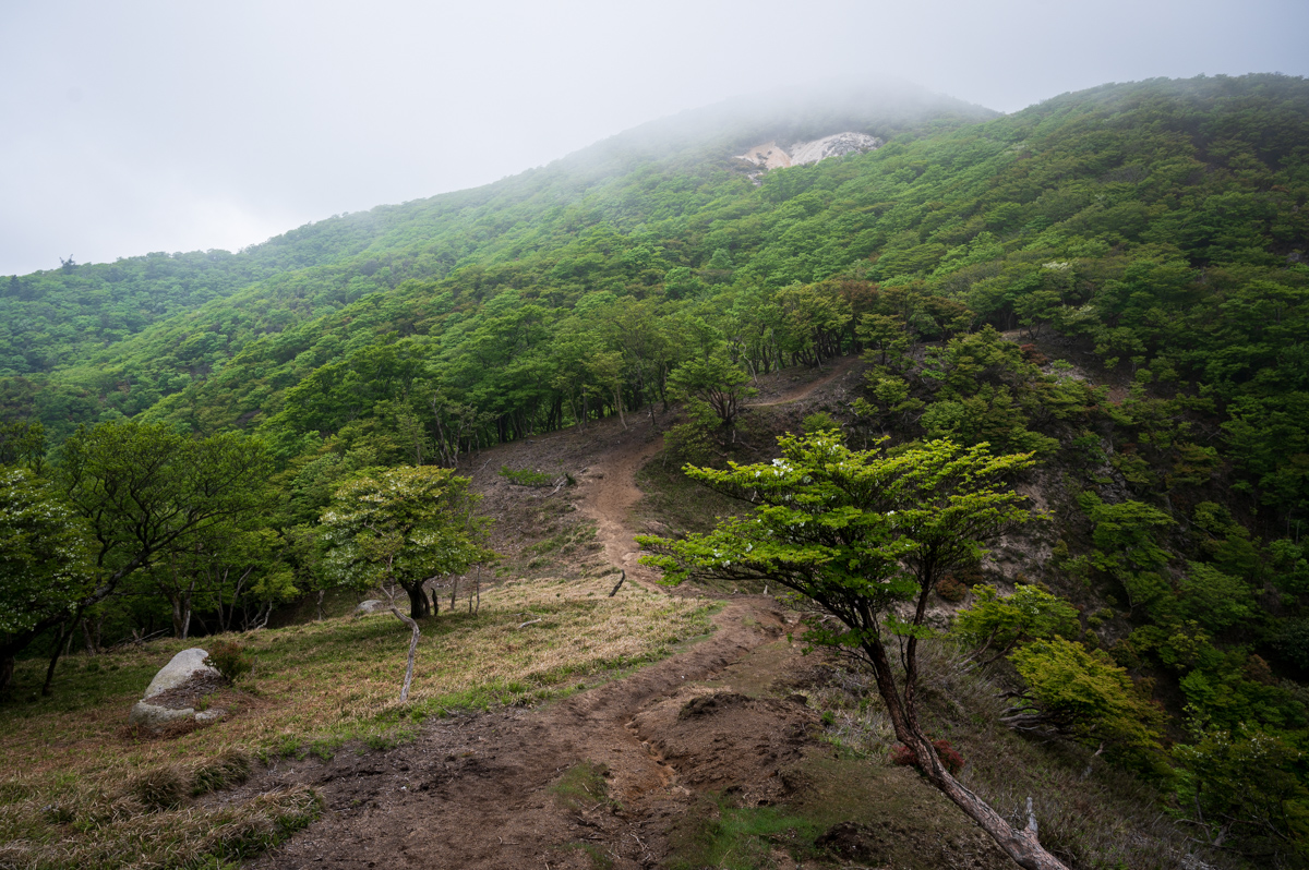 f:id:hiiro1017:20200711230430j:plain