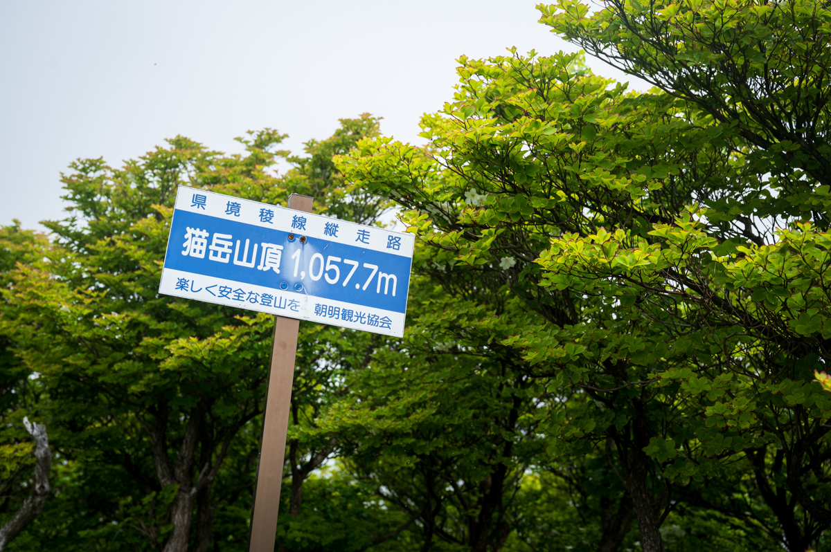 f:id:hiiro1017:20200711230435j:plain