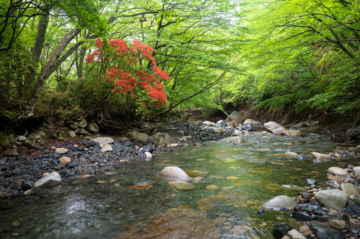 f:id:hiiro1017:20200813205335j:plain