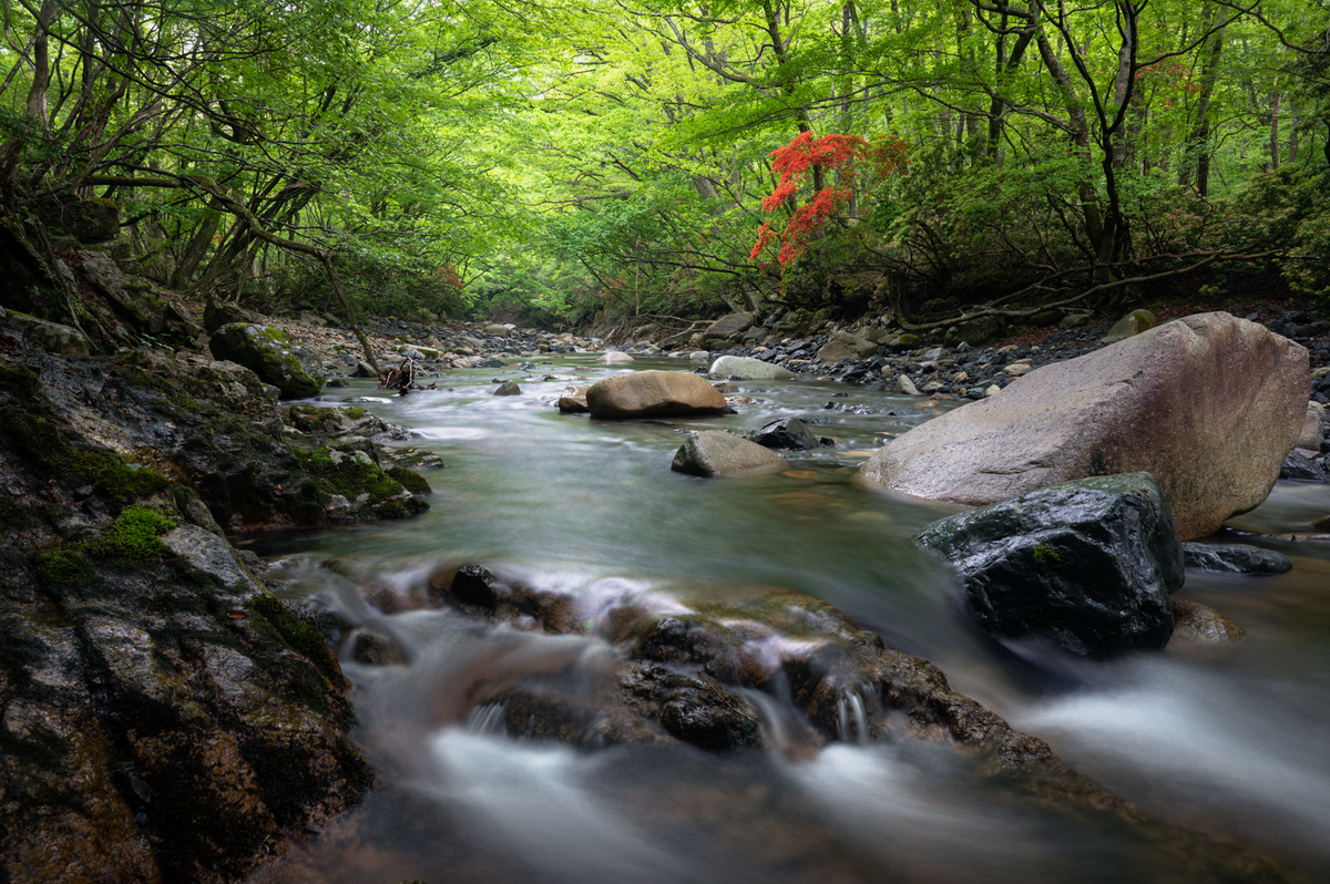 f:id:hiiro1017:20200813205356j:plain