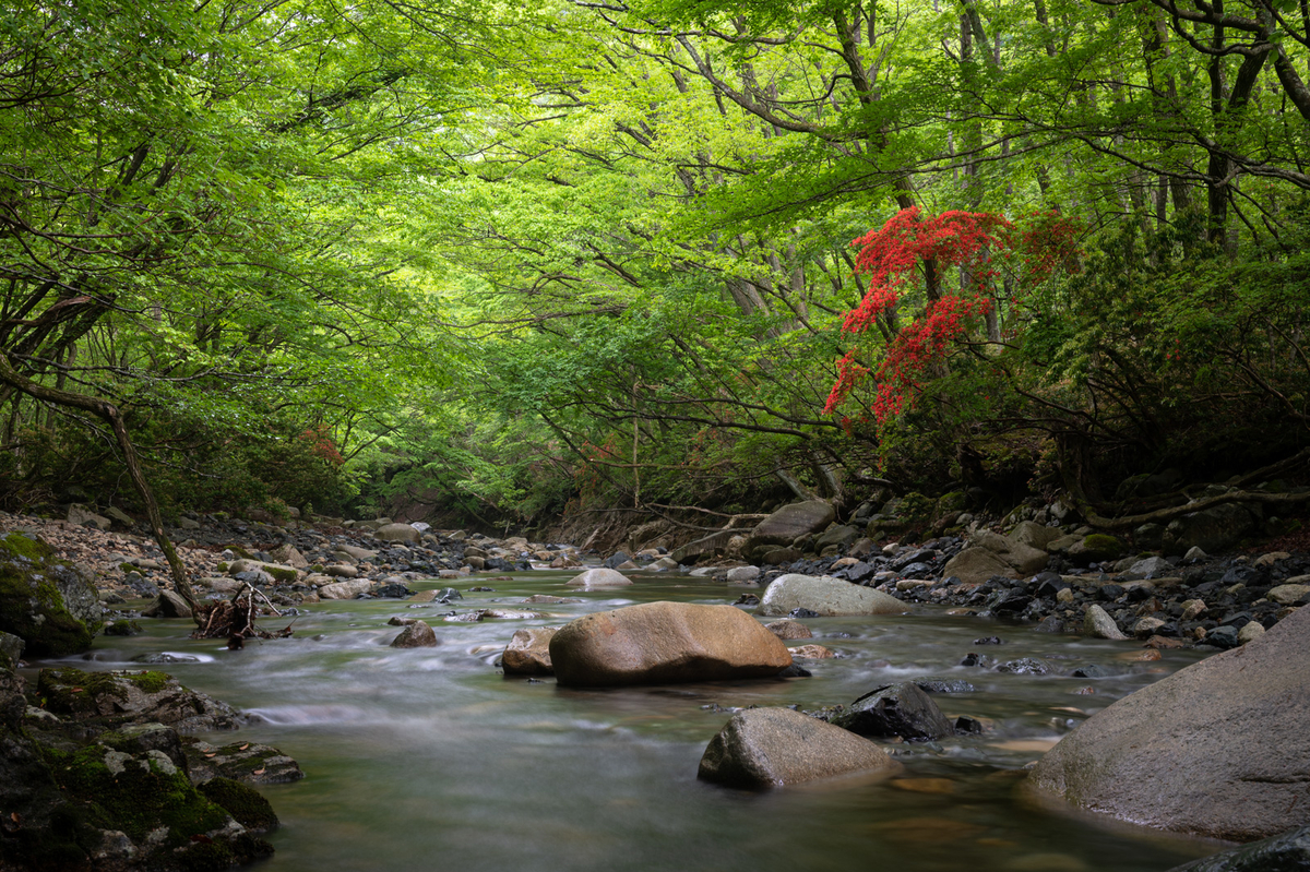 f:id:hiiro1017:20200813205402j:plain