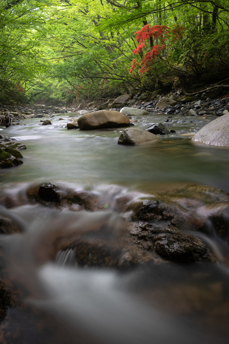 f:id:hiiro1017:20200813205406j:plain