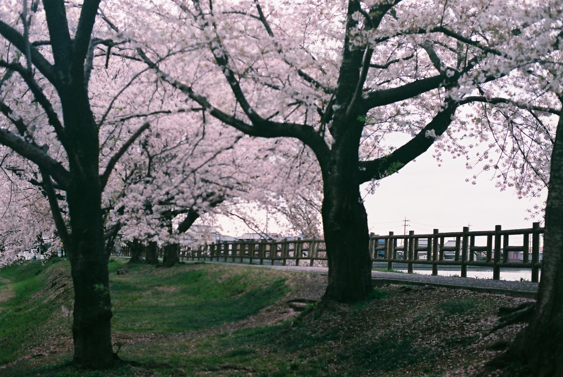 f:id:hiiro1017:20210530071343j:image