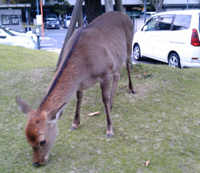 f:id:hiirosou:20101030194157j:image