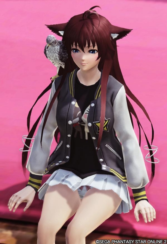 2017年新春記念アップデート Arks New Year Carnival 2017 ファンタシースターオンライン2 プレイヤーズサイト