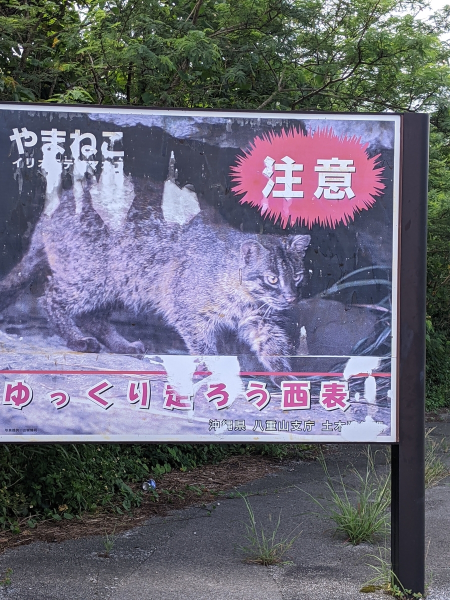 f:id:hijirin18:20210719212139j:plain