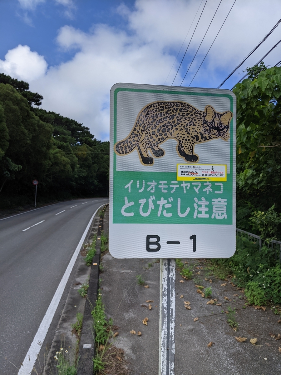 f:id:hijirin18:20210719212155j:plain