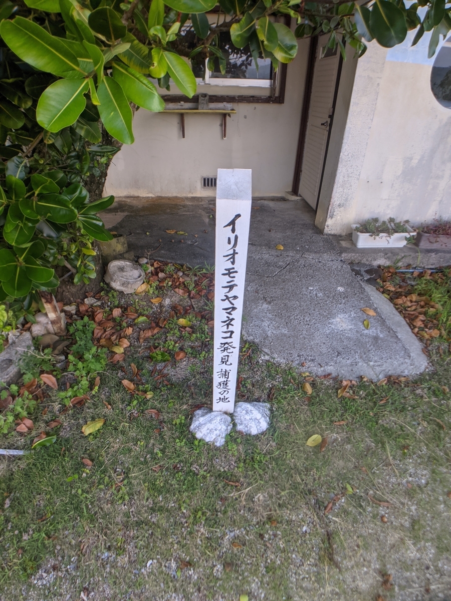 f:id:hijirin18:20210808083254j:plain