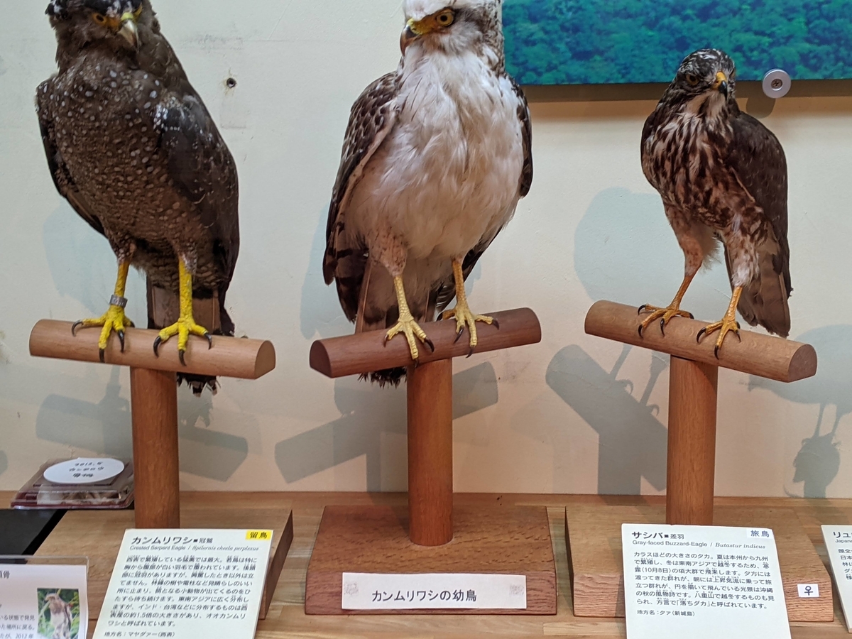 f:id:hijirin18:20210815094214j:plain