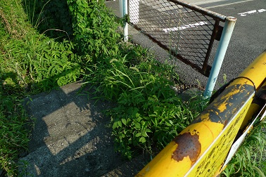 f:id:hikada:20090722162448j:image