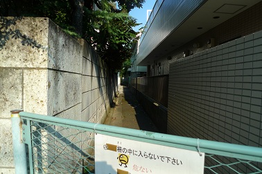 f:id:hikada:20090722162841j:image