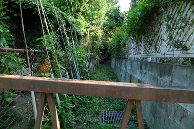 f:id:hikada:20090722163300j:image