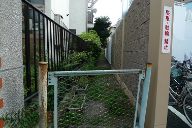 f:id:hikada:20090722170056j:image