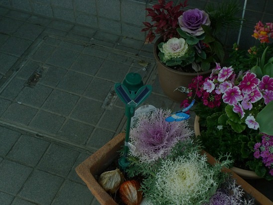 f:id:hikada:20130203125143j:image f:id:hikada:20130203125143j:image