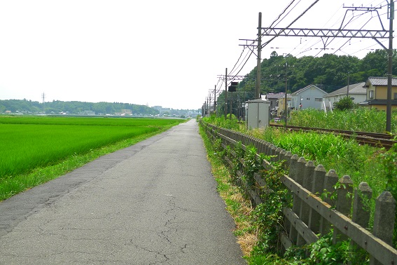 f:id:hikada:20130721113048j:image f:id:hikada:20130721113048j:image