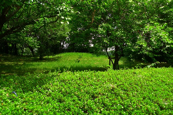 f:id:hikada:20130721121158j:image f:id:hikada:20130721121158j:image