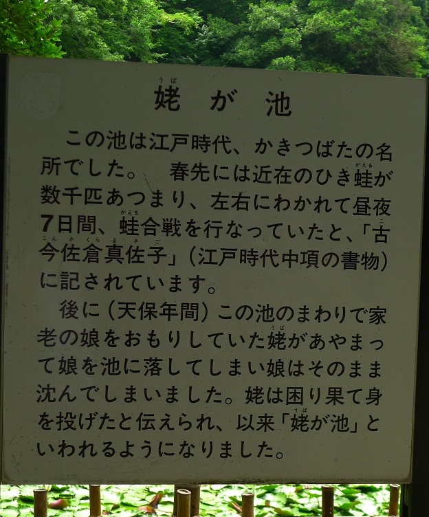 f:id:hikada:20130721122008j:image f:id:hikada:20130721122008j:image