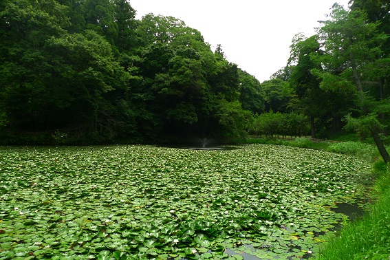 f:id:hikada:20130721122027j:image f:id:hikada:20130721122027j:image