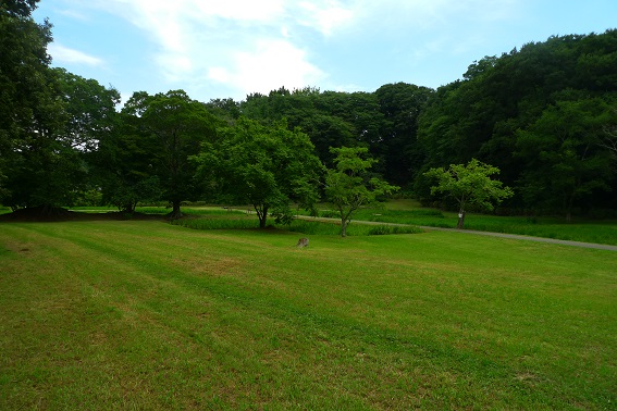 f:id:hikada:20130721122352j:image f:id:hikada:20130721122352j:image