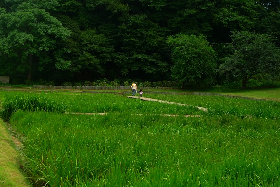 f:id:hikada:20130721122547j:image f:id:hikada:20130721122547j:image