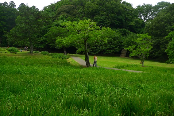 f:id:hikada:20130721122820j:image f:id:hikada:20130721122820j:image