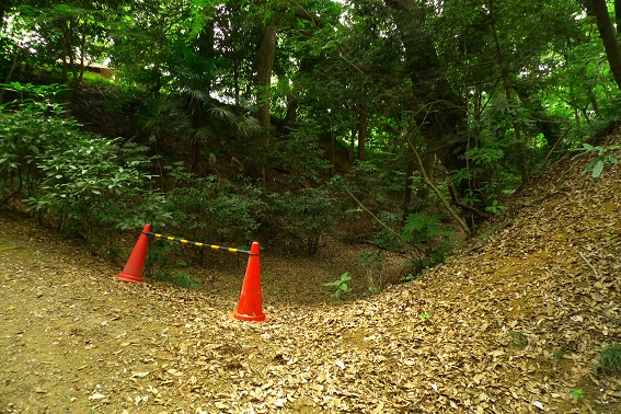 f:id:hikada:20130721123108j:image f:id:hikada:20130721123108j:image