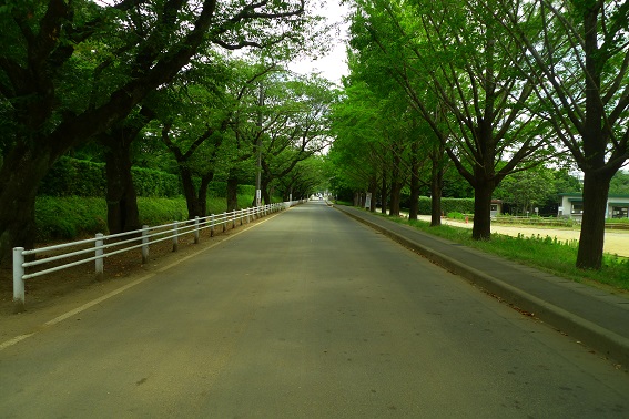f:id:hikada:20130721123856j:image f:id:hikada:20130721123856j:image