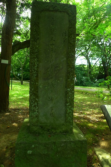 f:id:hikada:20130721143252j:image f:id:hikada:20130721143252j:image