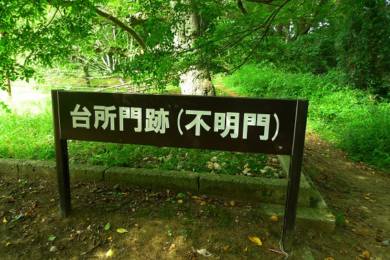 f:id:hikada:20130721143547j:image f:id:hikada:20130721143547j:image