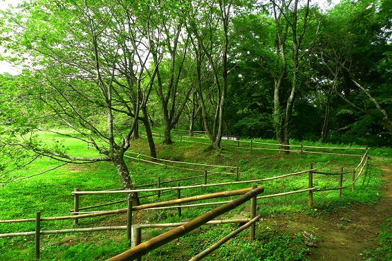 f:id:hikada:20130721143614j:image f:id:hikada:20130721143614j:image