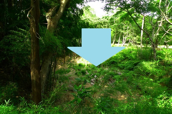 f:id:hikada:20130721143920j:image f:id:hikada:20130721143920j:image