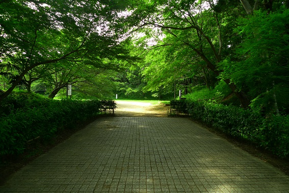 f:id:hikada:20130721143936j:image f:id:hikada:20130721143936j:image